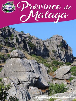 cover image of Province de Malaga